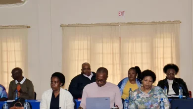 Turning Policy into Action: National Task Team Focuses on Inclusive Education for All