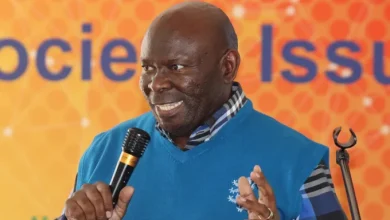 Honourable Seabi: Education - An Investment in Our Nation's Future