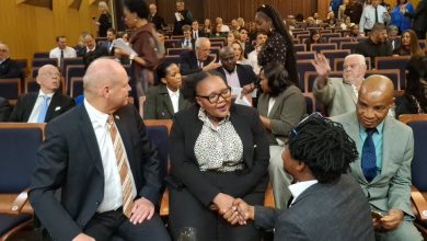 Minister Gwarube to speak at Slovak Republic National Day in Pretoria